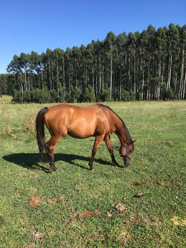 StudReferencia's tweet photo. En la dulce espera...
🥰🥰🥰🥰🥰
💪💪💪🏇🏇🏇🏇💪💪����
#IRRESTRICTA 
#HARASREFERENCIA 😉😁 https://t.co/dRGW5Cqb80