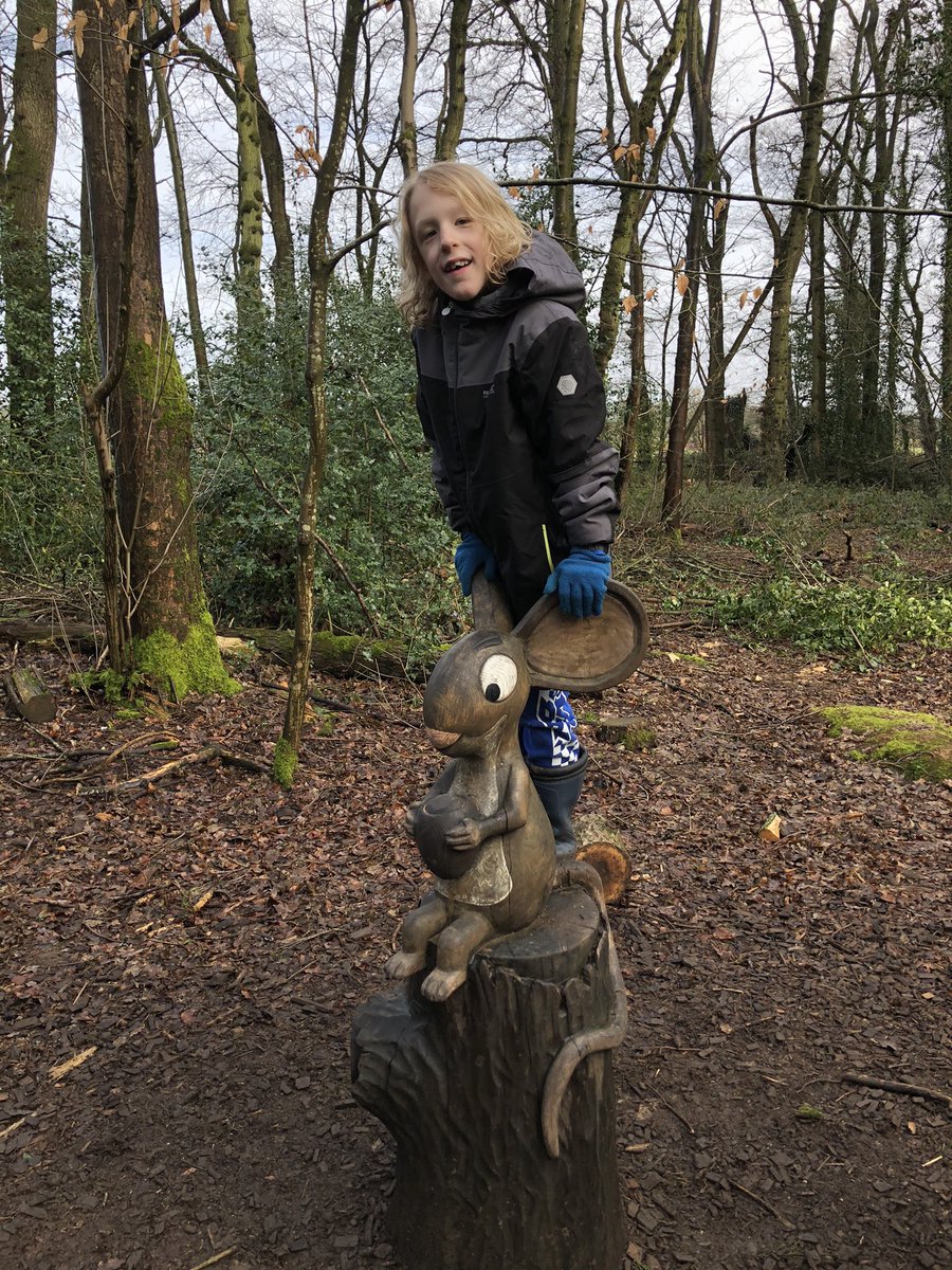 7.5km walk (and tree climb) around @WestonbirtArb this morning. The sun came out too! #finnsfitfor15 #trees #active #stayactive #treeclimbing @wecan_move @activeglos @StayInWorkOut