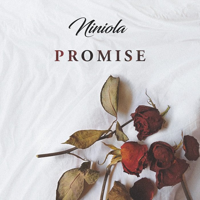 PumpinTheOG's tweet photo. No one can deny @OfficialNiniola versatility listen to ‘Promise’ here:
https://t.co/E4sqVefOEt #NiniolaPromise https://t.co/UfIX9BeYNN