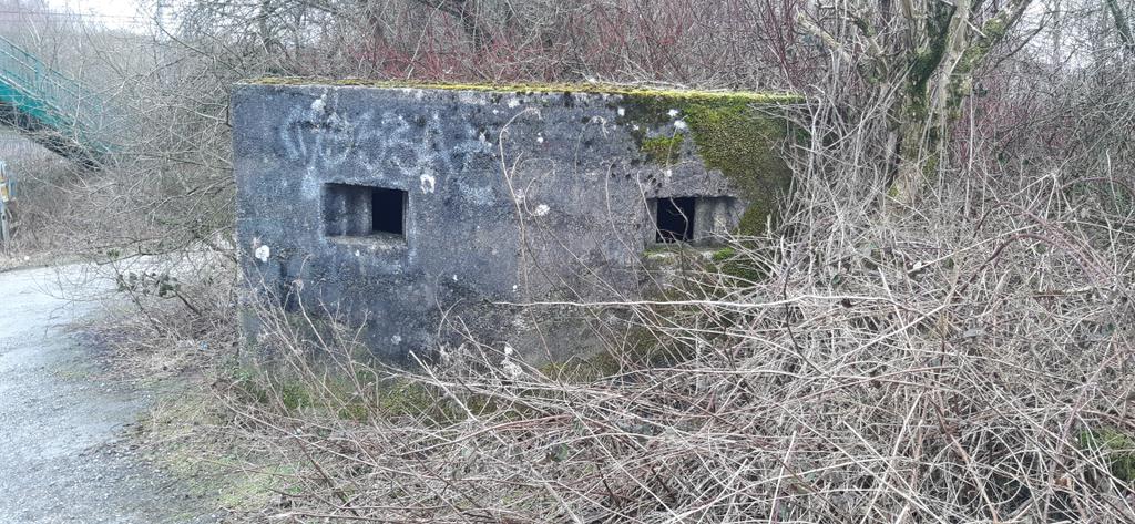 WW2 bunker! No idea this was here. No I'm not going in.