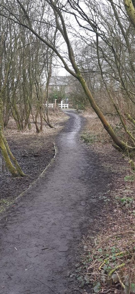 I think this is the trackbed... Oddly bumpy tho