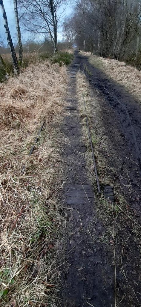 TRACK! I FOUND TRACK! Looks like 2dt gauge.Now I'm going home because it's raining and sod that