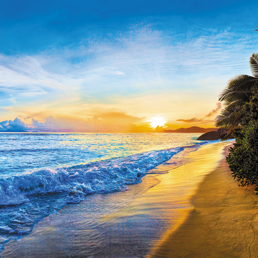 Day_Timer's tweet photo. The weather outside might be frightful, but it's always a day at the beach in your Coastlines Day-Timer.
Shop this collection: https://t.co/JcVw47y8ZR
#daytimer https://t.co/e8MMxPrNBb