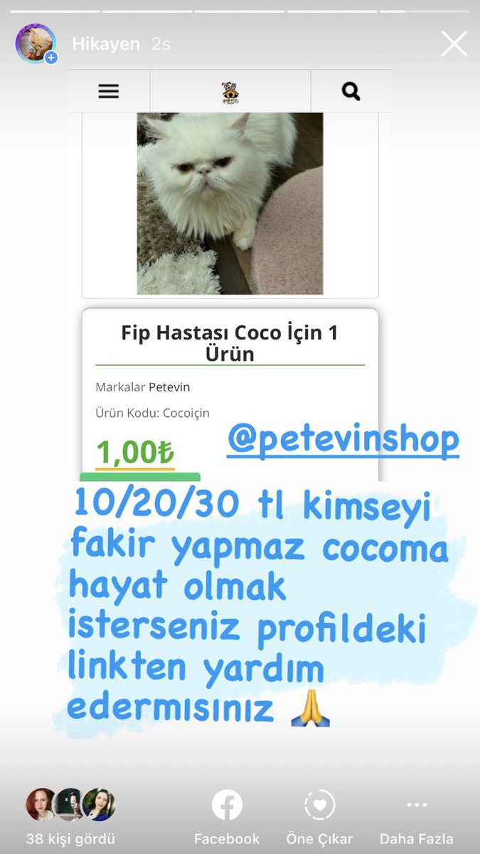 Profildeki linkten yada ınstgram  dm den bize ulaşabilirsiniz 🙏 pamuğumun patisinden tutun lütfen😔😔