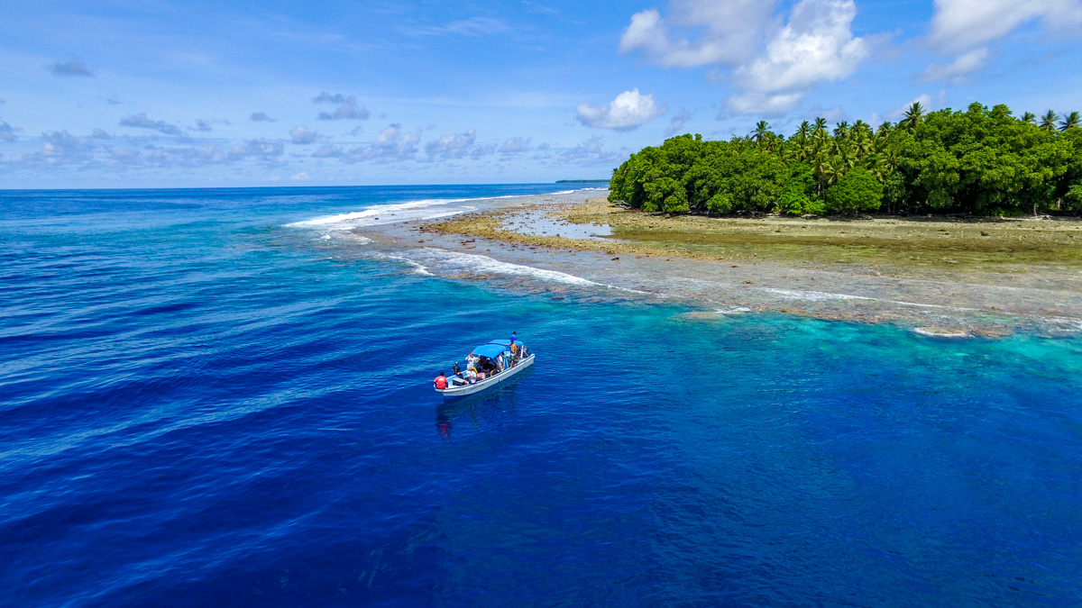 Top five reasons why I become a marine biologist (please share yours):

1. I really love the ocean, so nothing better than working at or with the ocean everyday.