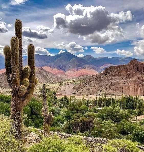 turisargentina's tweet image. Tilcara ¿Qué nombre le pondrían a esta postal? ❤