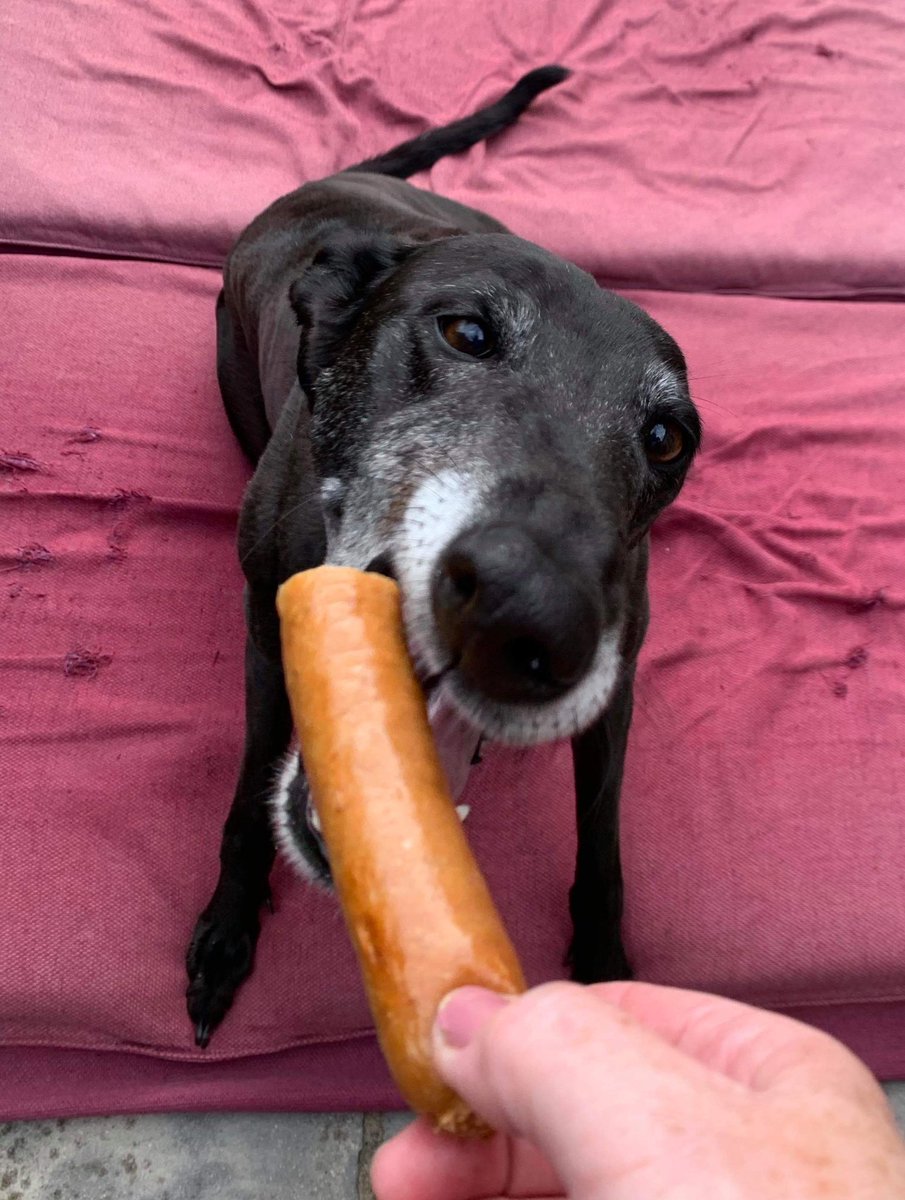 I whined on a Thursday,When the Chip Van came But it’s hard to whine,With the coat upon on your frameThey gave me a sausageAnd I swallowed it in one,But I am the Whine,And I still go on!Whine then whenever you may be,I am the Hound of The Whine said she...