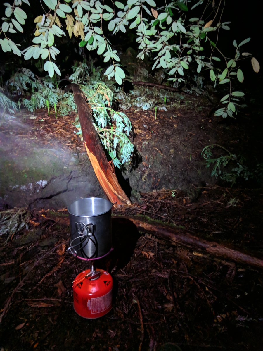 My backpacking stove is a Soto Amicus, shown above. I used to use a Snow Peak GigaPower stove, and took it on one backpacking trip, but the Amicus is much more wind-resistant and generally better.Hikin Jim, a trustworthy stove reviewer, has a review:  https://adventuresinstoving.blogspot.com/2016/12/review-soto-amicus.html