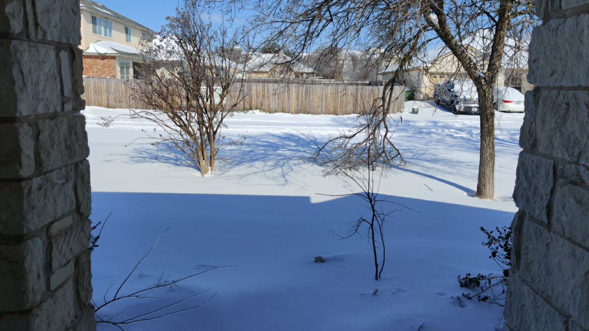 InkedFur tweet media