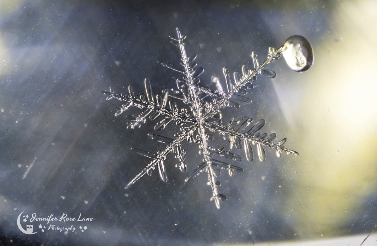 Jens_Starry_Sky's tweet photo. No ice here, but it's been #snowing today, and I've spent entirely too much time out there getting snowflake pics. I think I'm addicted to #snowflakephotography ๐ฅถ โ๏ธ #winter #WV @StormHour @SnowHour https://t.co/dWeLjj0aZF