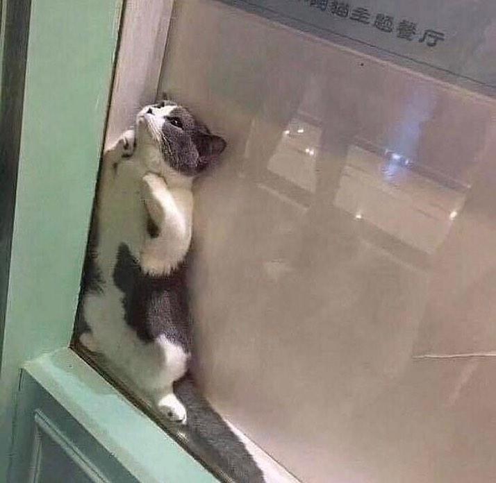 pedestrian's tweet photo. https://t.co/A2w90H5gXW
