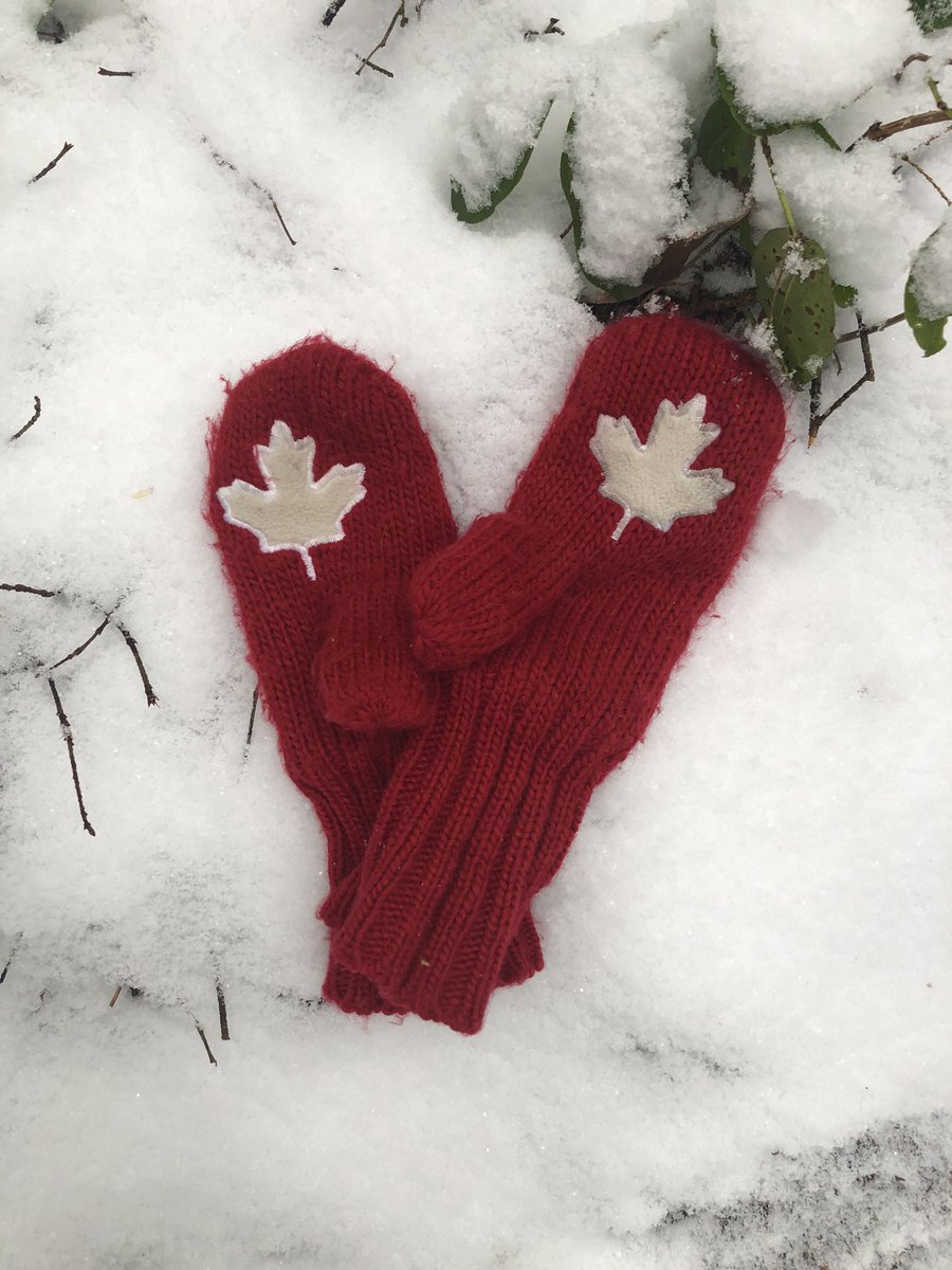 teacherkjohnson's tweet photo. Proudly featuring #canadian #writers and #illustrators in our library learning commons. This curated collection of books and resources can help you #wayfind yourself to a great new 🇨🇦story. #IReadCanadianDay #rtla38 https://t.co/tYBSB0iAJS
