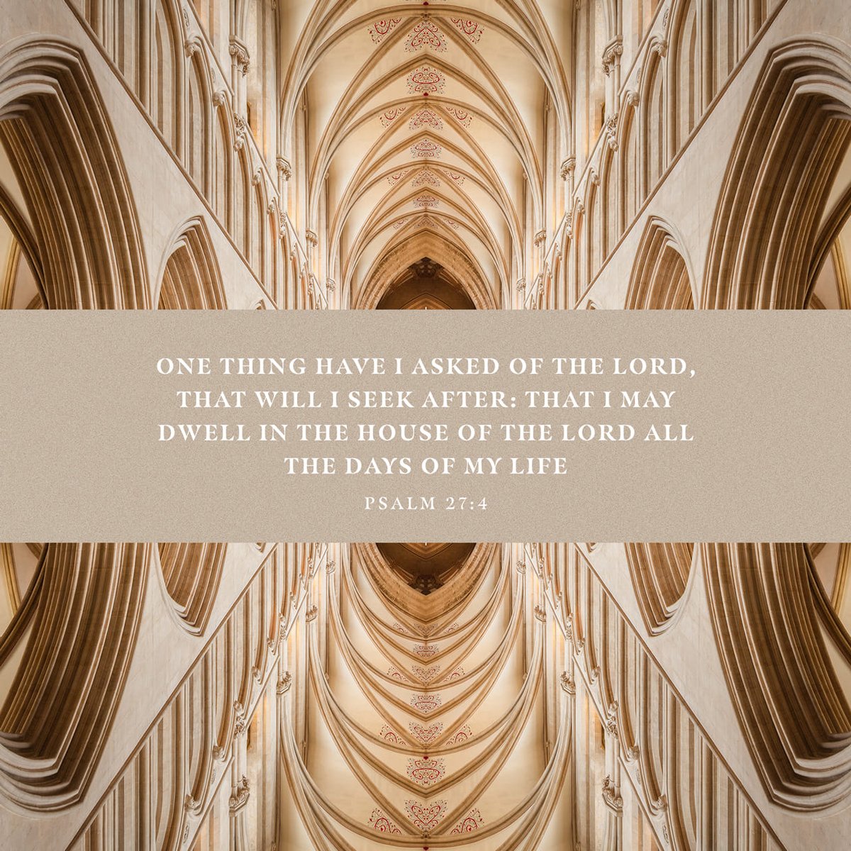 Freshdoses's tweet image. One thing have I desired of the Lord , that will I seek after; that I may dwell in the house of the Lord all the days of my life, to behold the beauty of the Lord , and to enquire in his temple.
Psalms 27:4
#TheWord #bibleverse