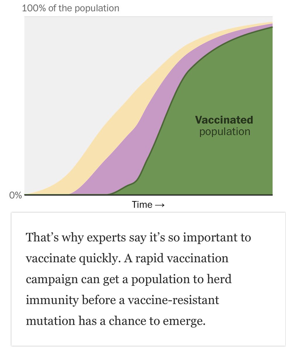 2) Vaccines work and the faster we vaccinate, the faster we can prevent the dangerous variants with immunity escape mutations.