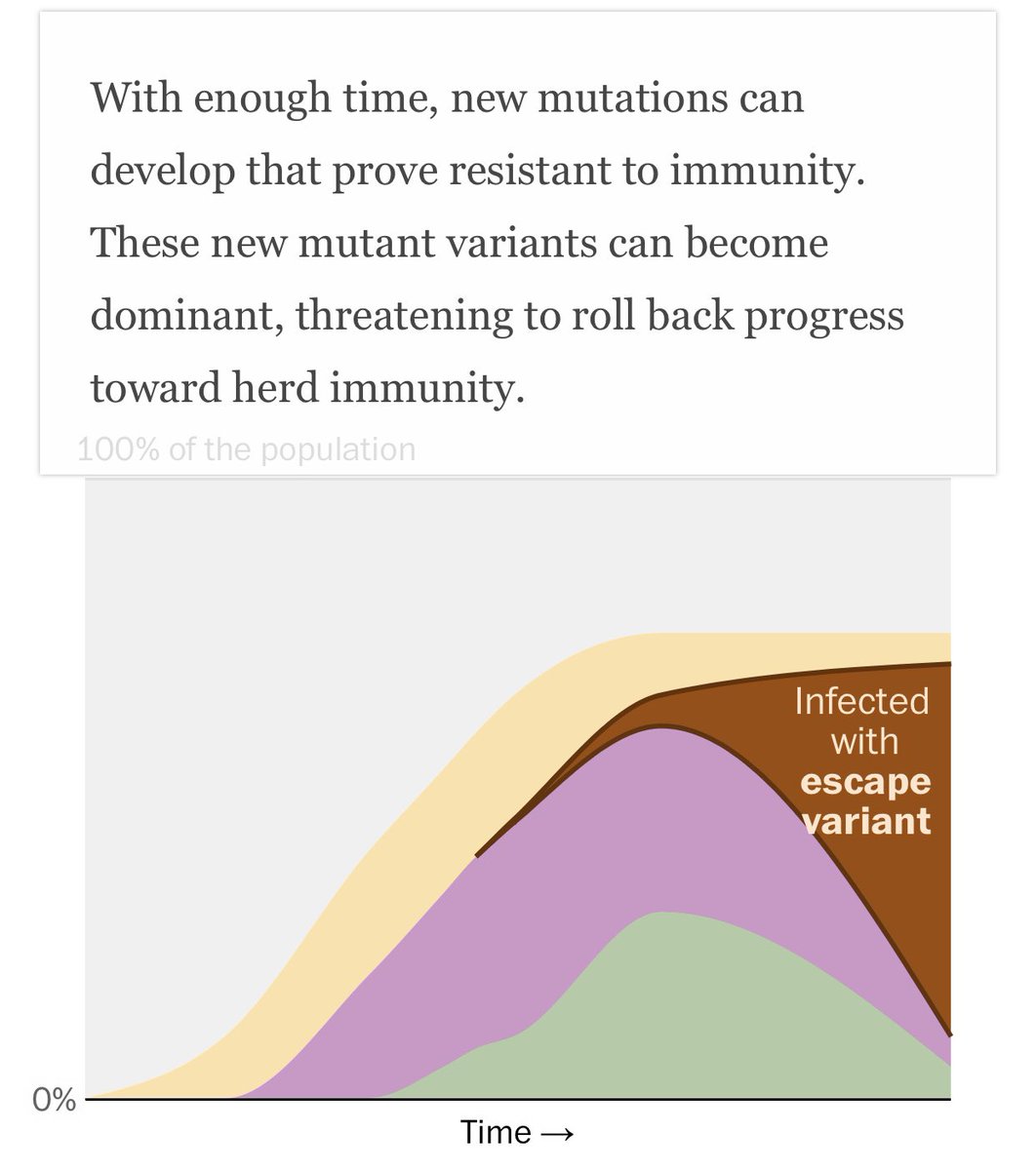 3) because if we let the virus spread too long and broadly, this is what we end up with... escape variants!