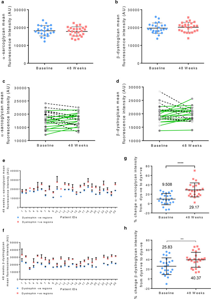 The administration of #antisense #oligonucleotide golodirsen reduces pathological regeneration in patients with #Duchenne muscular dystrophy

$SRPT <a href="/PopplewellGroup/">Popplewell Research Group</a> #splicemodulation <a href="/oligogirl/">AnnemiekeAartsma-Rus</a> <a href="/lab_zhou/">Dr Haiyan Zhou</a> <a href="/ToshifumiYokota/">Prof. Toshi Yokota PhD FCAHS @MD_Canada Res Chair</a> <a href="/suzanmhammond/">Suzan Hammond</a> <a href="/HastingsLab/">Michelle Hastings</a> 

pubmed.ncbi.nlm.nih.gov/33407808/