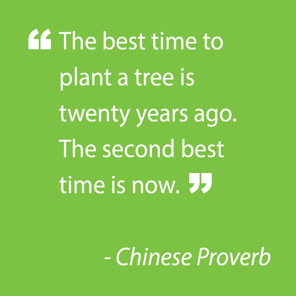 Your friends at Sam Hill Tree Care love trees. Take some time today to notice the many different types of trees that surround you.
<a href="/samhilltreecare/">Sam Hill Tree Care</a> #treecare #dallastree #gardening #landscape #dallaslandscape #fertilizing