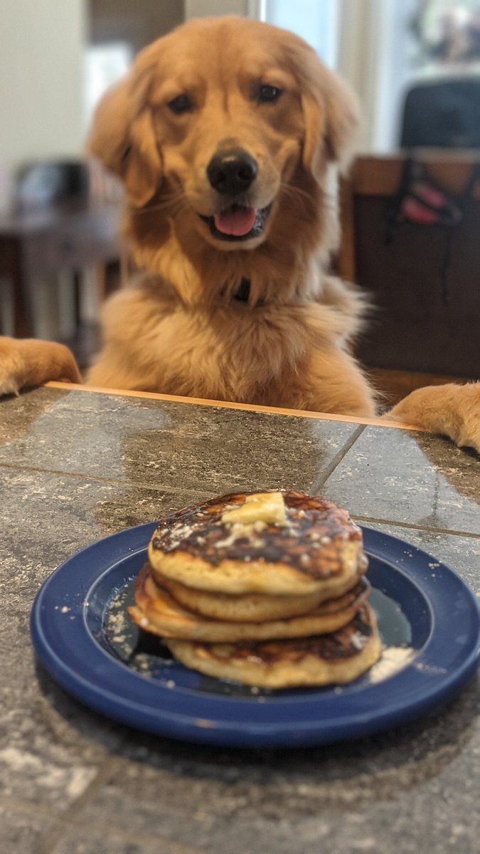 Liv wanted to pop in and say Happy #pancakeday Everyone!