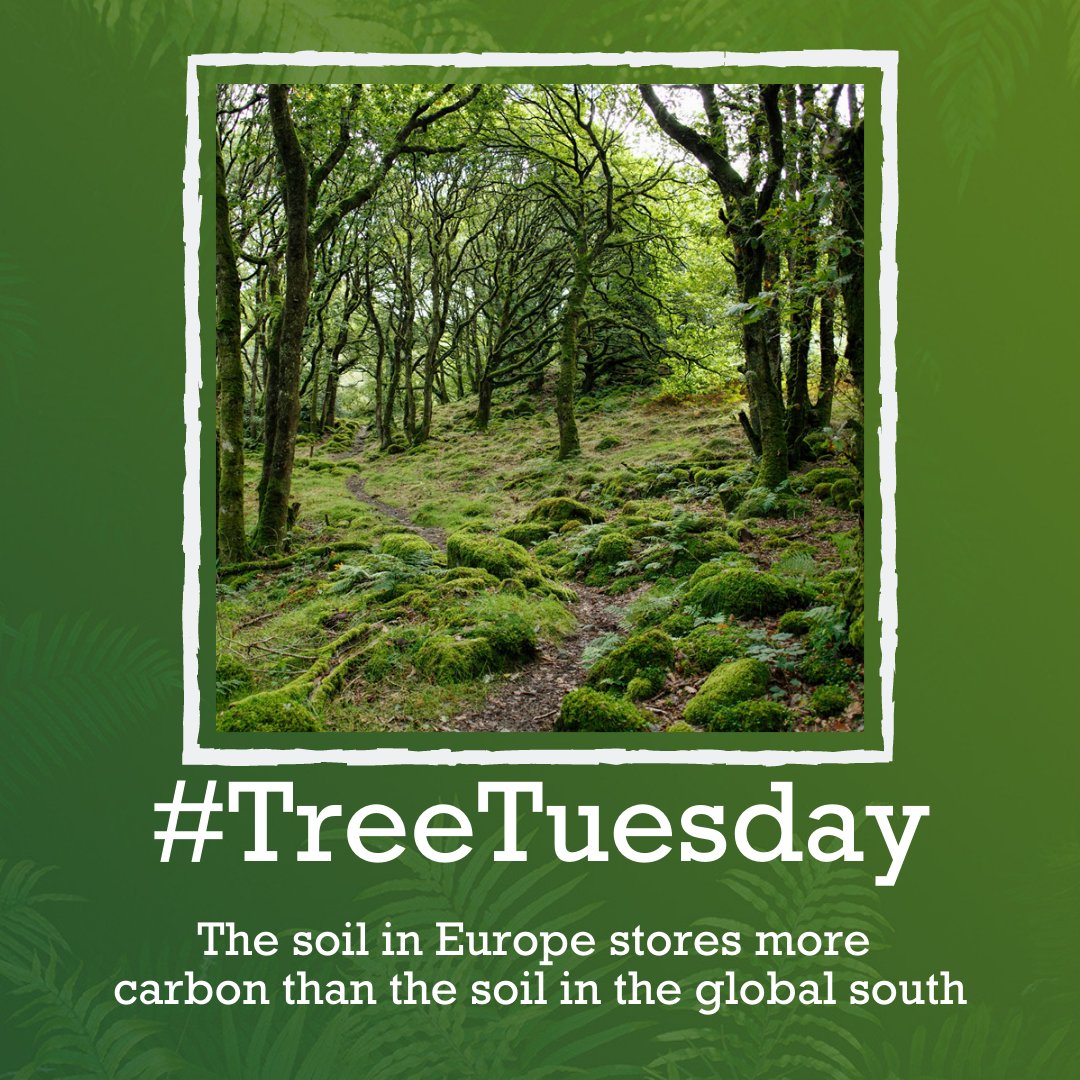 trilliontrees's tweet photo. The earth beneath our feet is the largest CO2 store on this planet. Forest soils store significantly more carbon than deserts. 🌎👍
European soils absorb more carbon (almost 60%) than South American (about 39%) soils, where more carbon is stored in the wood of trees. 💚🌳 https://t.co/cvvWZverGx