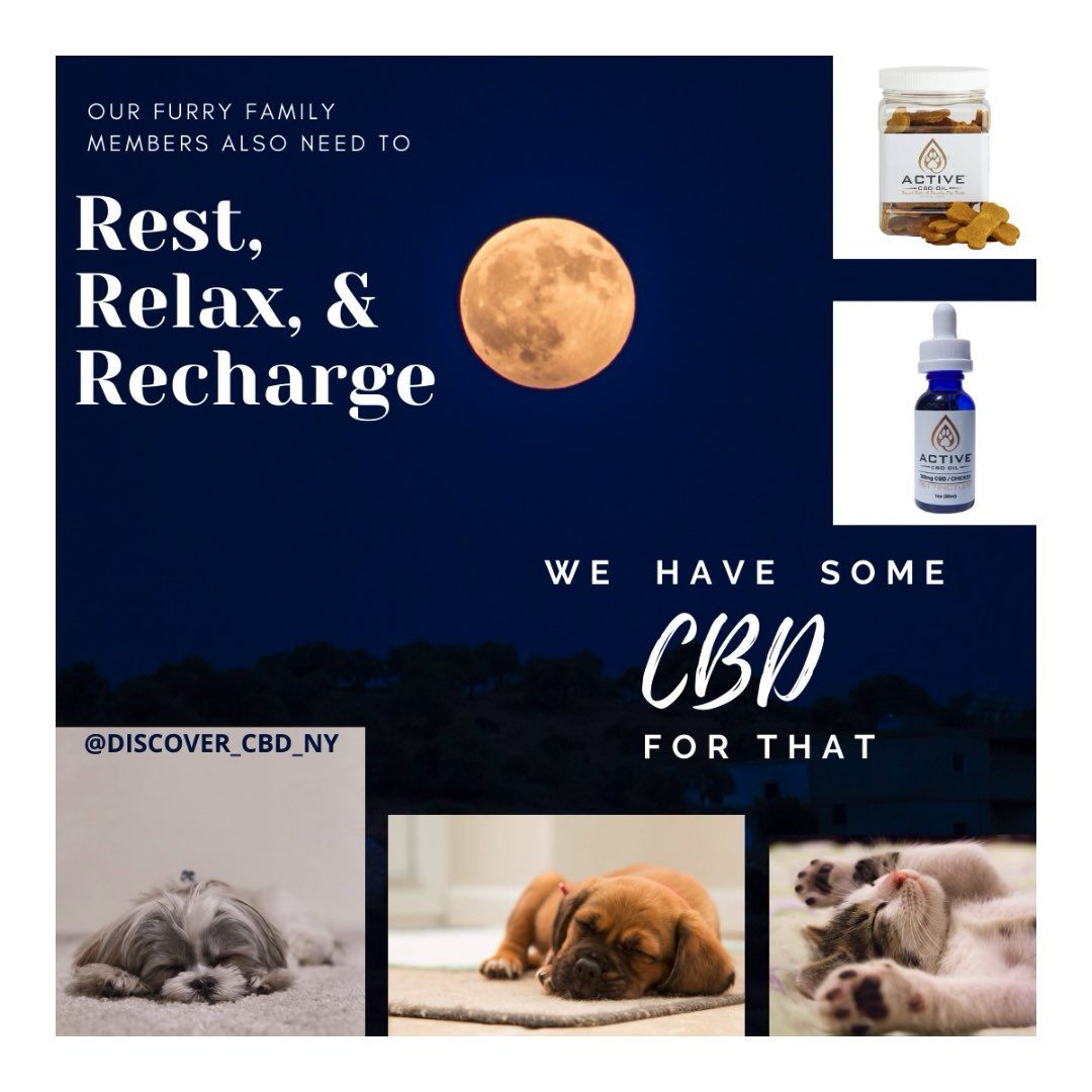 𝘓𝘦𝘵’𝘴 𝘵𝘢𝘭𝘬 𝘢𝘣𝘰𝘶𝘵 𝘩𝘰𝘸 #𝘤𝘣𝘥 𝘤𝘢𝘯 𝘩𝘦𝘭𝘱 𝘺𝘰𝘶 𝘢𝘯𝘥 𝘺𝘰𝘶𝘳 𝘧𝘶𝘳𝘳𝘺 𝘧𝘢𝘮𝘪𝘭𝘺 𝘮𝘦𝘮𝘣𝘦𝘳𝘴 🐶🐕🐱💆🏽‍♀️💆🏻‍♂️⁣⁣⁣⁣⁣⁣⁣⁣