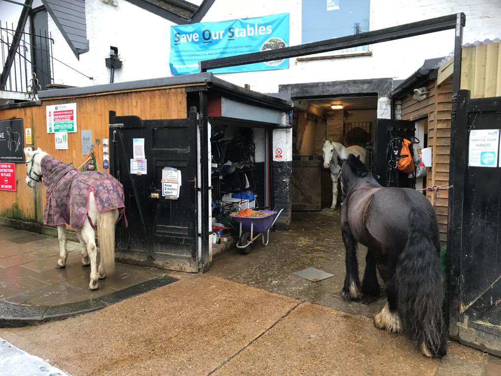 MPSRoyal_Parks's tweet photo. Officers visited @ParkLaneStables this morning as part of their Safer Parks Patrols. It’s a Riding for the Disabled Association(RDA) centre who use #BushyPark Always a pleasure, hopefully we can visit in the future 🤞🏻 https://t.co/Ava4KETGen