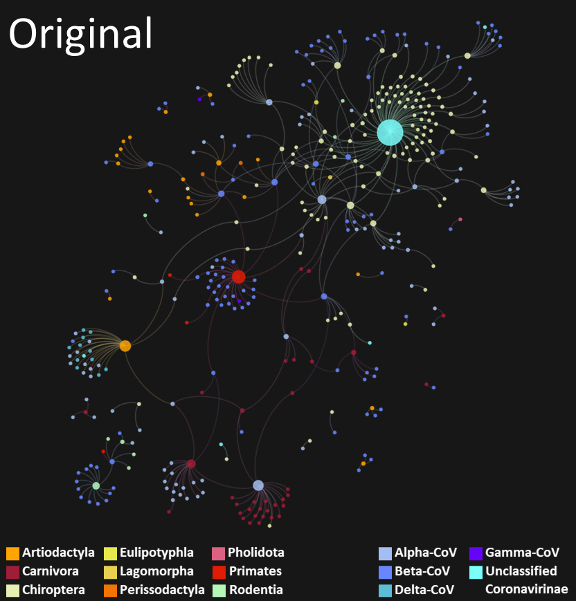 How did we do it?Finally, we also used the network linking known coronaviruses and their known hosts, and this enabled us to find the last side of the puzzle: the complex connections that already exist between coronaviruses and mammals.7/16