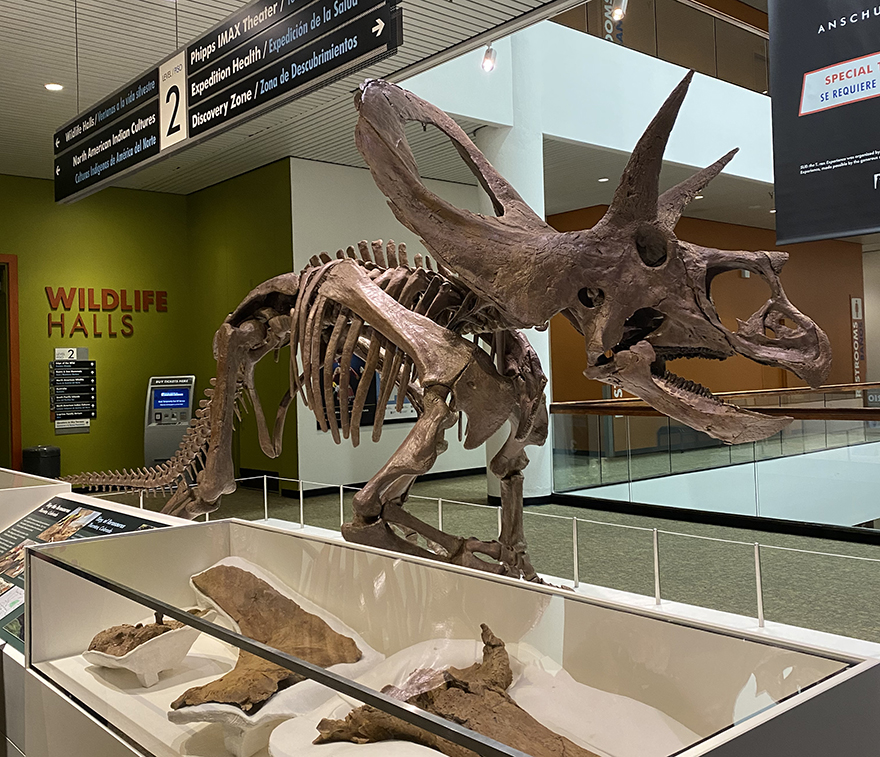 SaundersConstruction tweet media