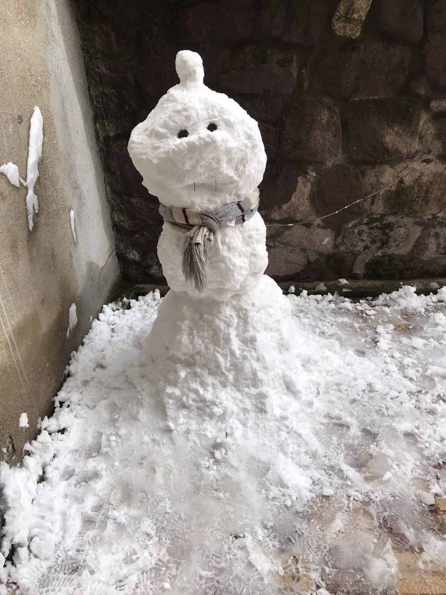 Türkiye’nin yeni bitki örtüsü kardan adam ☃️☃️