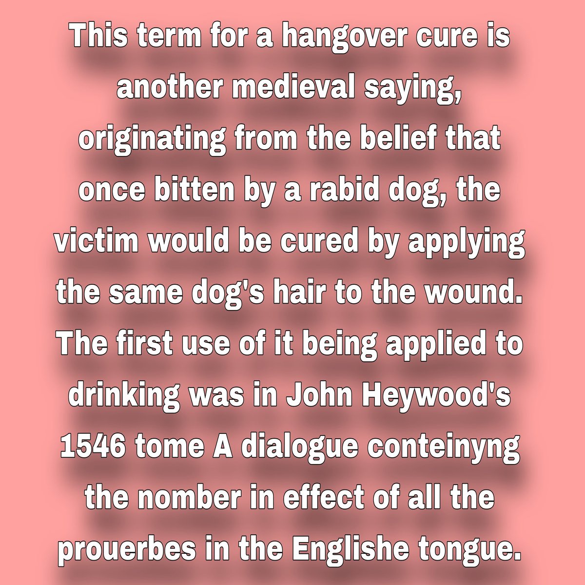 IKNOWSTUFF10's tweet image. #knowledge #iknowstuff #commonsayings #dogsoftwitter #dogsofinstagram #