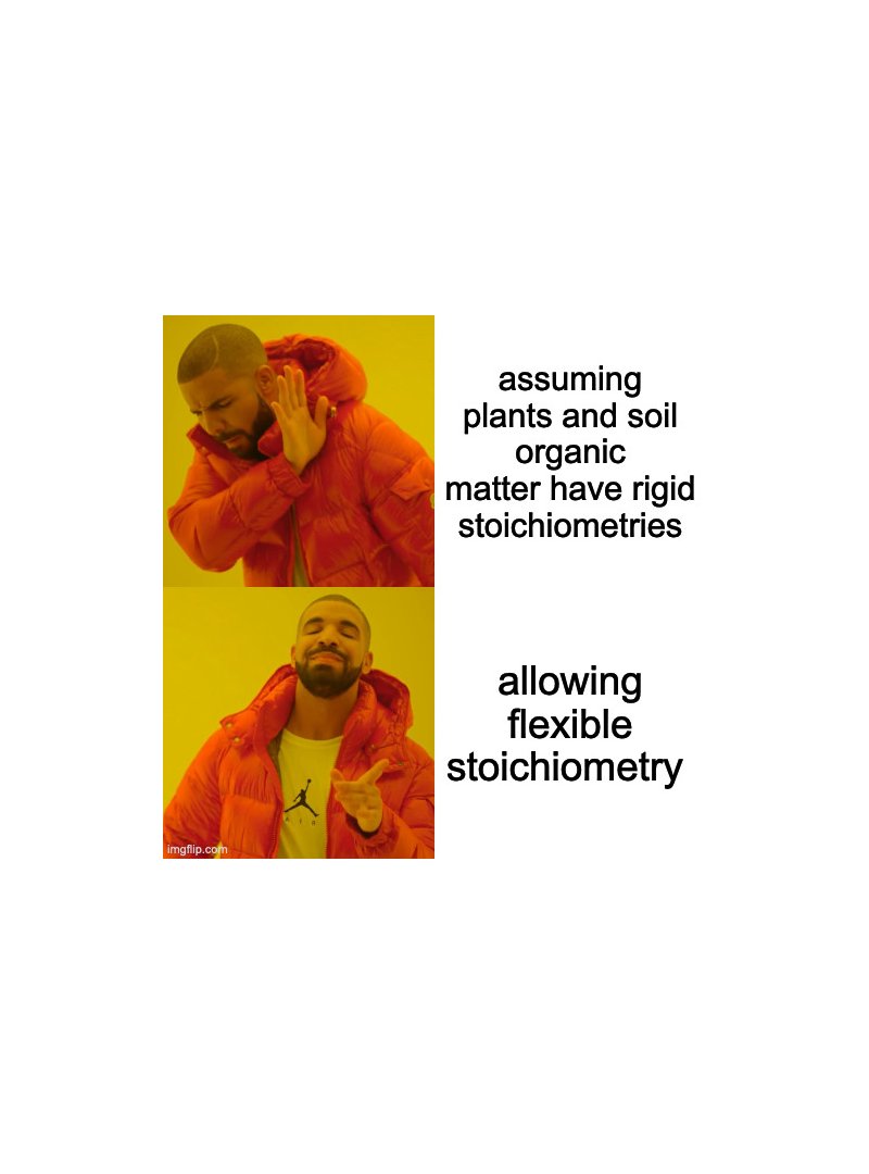 Have you ever wondered:
🌎 How is stoichiometric flexibility implemented in different models?
🛑 What are the challenges in representing stoichiometric flexibility in models?
🔎 What major knowledge gaps remain, and what information is needed to fill those gaps?