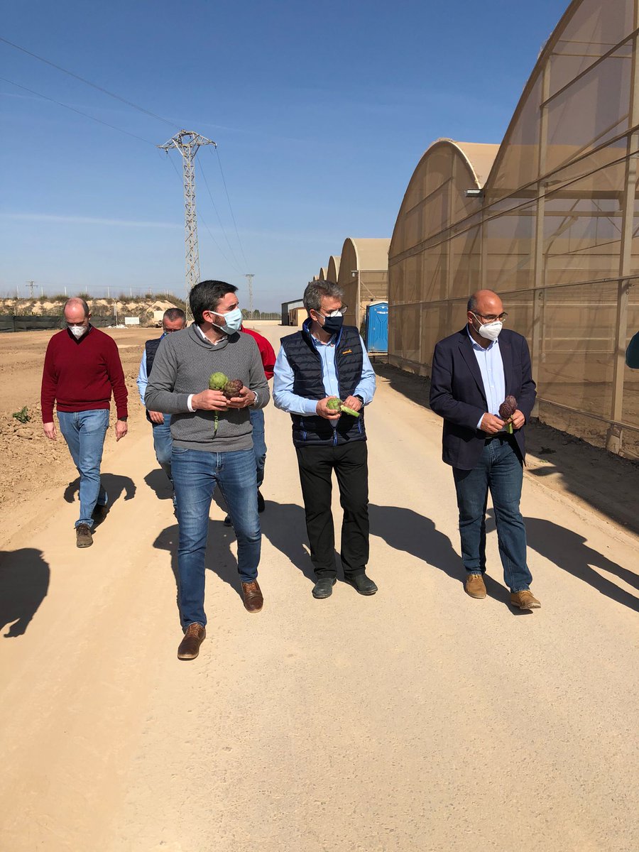 Elvira Vitores (@elviravitores) on Twitter photo Gracias a nuestros amigos de <a href="/FitopalmaSL/">Fitopalma, S.L.</a> hemos contado con D. Antonio Luengo Zapata, en las instalaciones de <a href="/BASF_AgroES/">BASF Agro España</a> y compartido con <a href="/RM_Agua/">Consejería de Agua, Agricultura, Ganadería y Pesca</a> todo el proceso e innovación que hay detrás de las semillas hortícolas. Gracias <a href="/arocamerono/">Antonio Roca Meroño</a> <a href="/PasolargoF/">Francisco Belmonte</a> <a href="/jmgingles/">José Mateo García</a>. GRACIAS!!! Gracias a nuestros amigos de <a href="/FitopalmaSL/">Fitopalma, S.L.</a> hemos contado con D. Antonio Luengo Zapata, en las instalaciones de <a href="/BASF_AgroES/">BASF Agro España</a> y compartido con <a href="/RM_Agua/">Consejería de Agua, Agricultura, Ganadería y Pesca</a> todo el proceso e innovación que hay detrás de las semillas hortícolas. Gracias <a href="/arocamerono/">Antonio Roca Meroño</a> <a href="/PasolargoF/">Francisco Belmonte</a> <a href="/jmgingles/">José Mateo García</a>. GRACIAS!!!