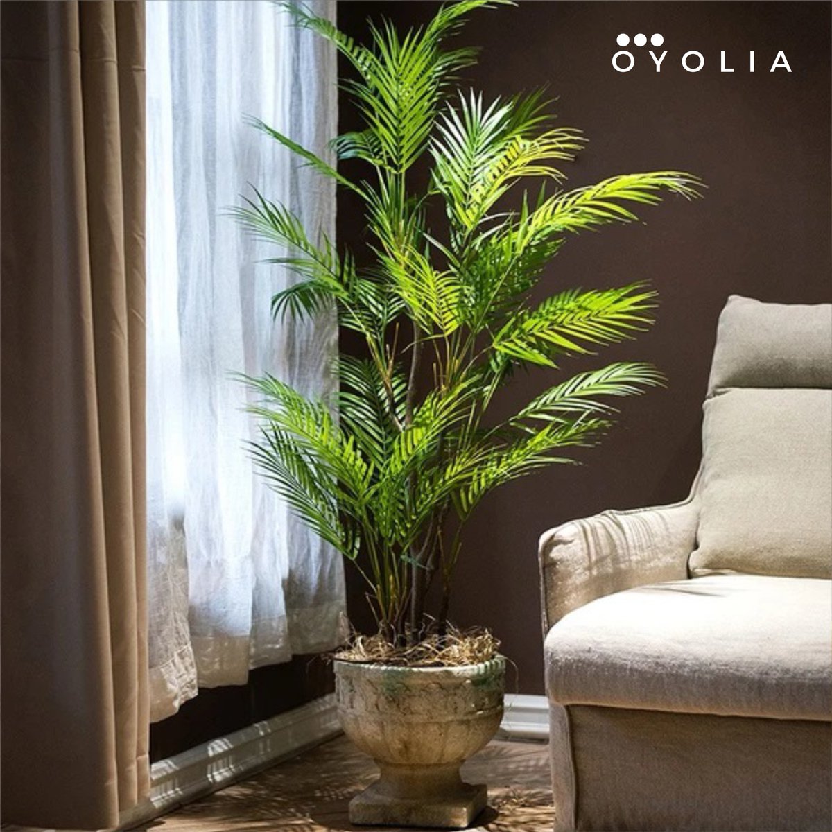 So, here we present to you our lush green and fresh-looking tropical palm plant that may not look like one but is actually artificial. Now you can be around your favorite plant 24/7 without having to water or soil it.
----
🛍️ bit.ly/2LUicgs
.
#oyoliastore #homedecor