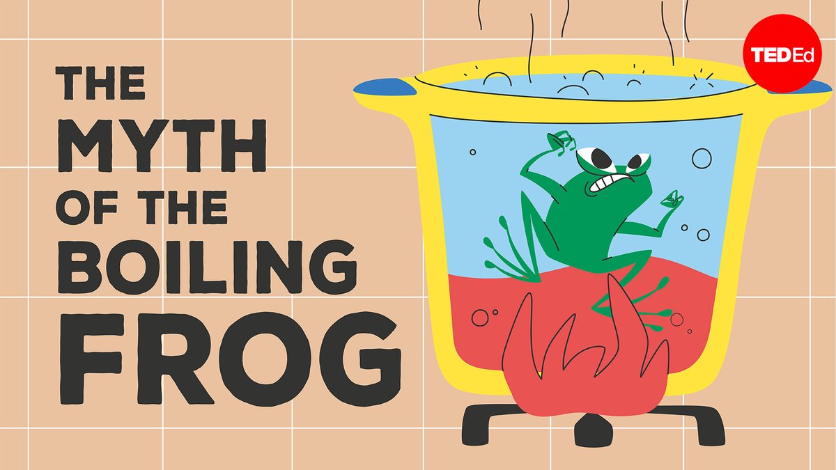 TED_ED's tweet photo. NEW VIDEO: Is the myth of the boiling frog real? https://t.co/mVYA92xrHy https://t.co/Z0AqhgcRBX