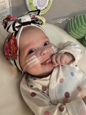 Ken Wallace tweet media