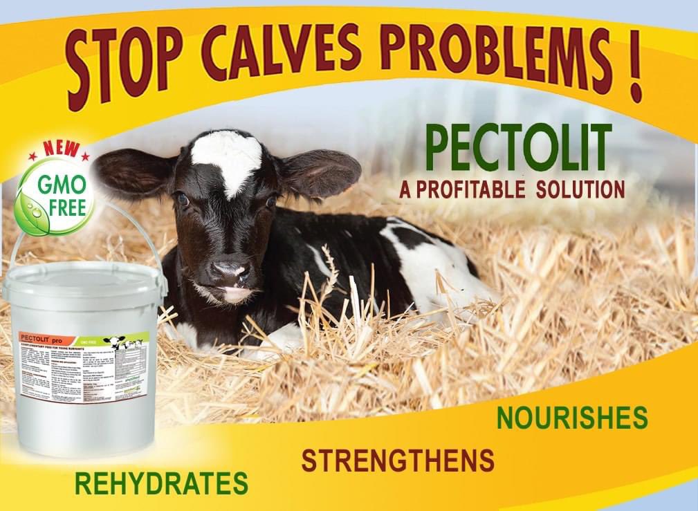 🚫 Stop calves problems 🚫

ℹ️ Pectolit, a profitable solution. Pectolit is a complementary feed specially aimed to stabilize and support the recovery of young ruminants during times of diarrhea.

#calving2021 #calving #calffeed #calf #calfrearing