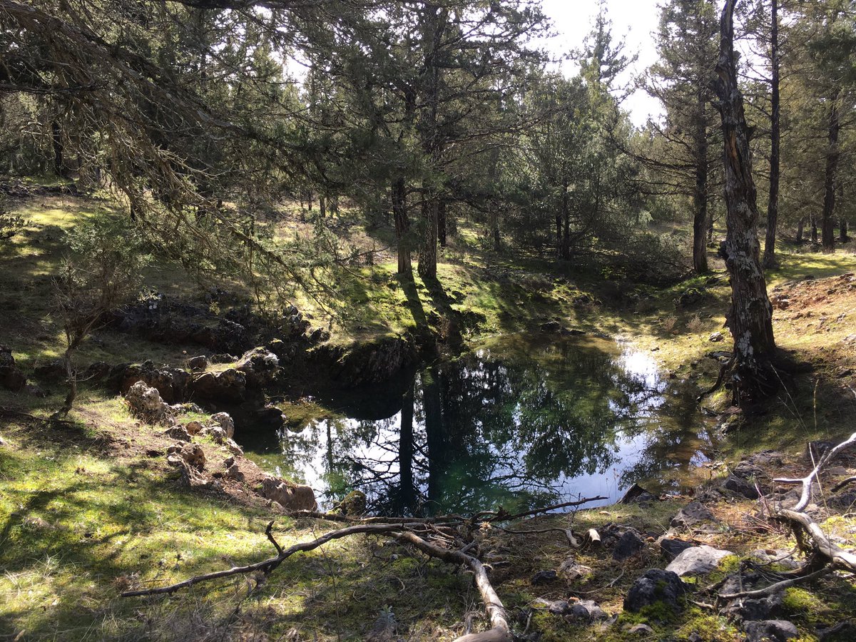 lc_pastor's tweet photo. Buena mañana paseando por los sabinares de @SantaHoyas #Chorrón #Auseca #lapiaz #grullas en compañía de Tere, @incausamoros y @57joaquin Soria sin ir más lejos. https://t.co/cSArONMUUS