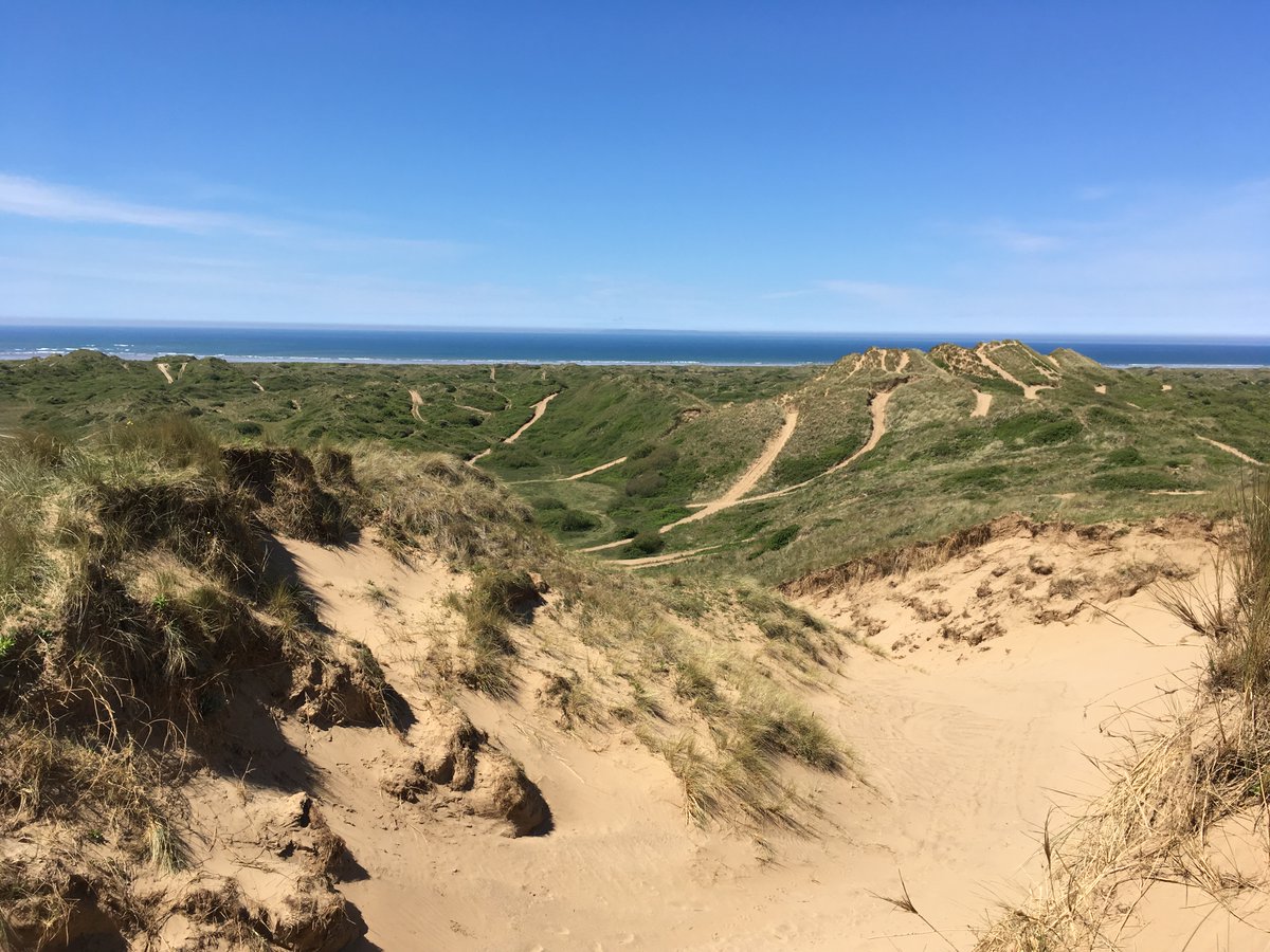 Love_plants's tweet photo. .@dynamicdunes have LOADS of family friendly #SandDunes activity tips to help folks discover and explore these often overlooked but stunning backdrops to the beach.
Sign up to the free #SpringIntoLife Plantlife #halfterm talk for inspo: https://t.co/UjEjPAS63d https://t.co/GF2Ul3oamd