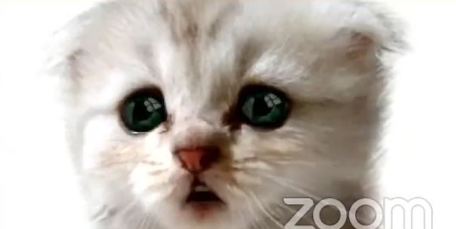 ComplexDisputes's tweet image. Katharina Klenk nimmt das #viral gegangene "Cat-Lawyer-Video" zum Anlass, die Tücken des digitalen Verhandelns aufzuzeigen und diskutiert potenzielle Konsequenzen von Video-Komplikationen in der deutschen Gerichtsbarkeit.
#catlawyer #Videoverhandlung #ZPO #corona #128a #legaltech