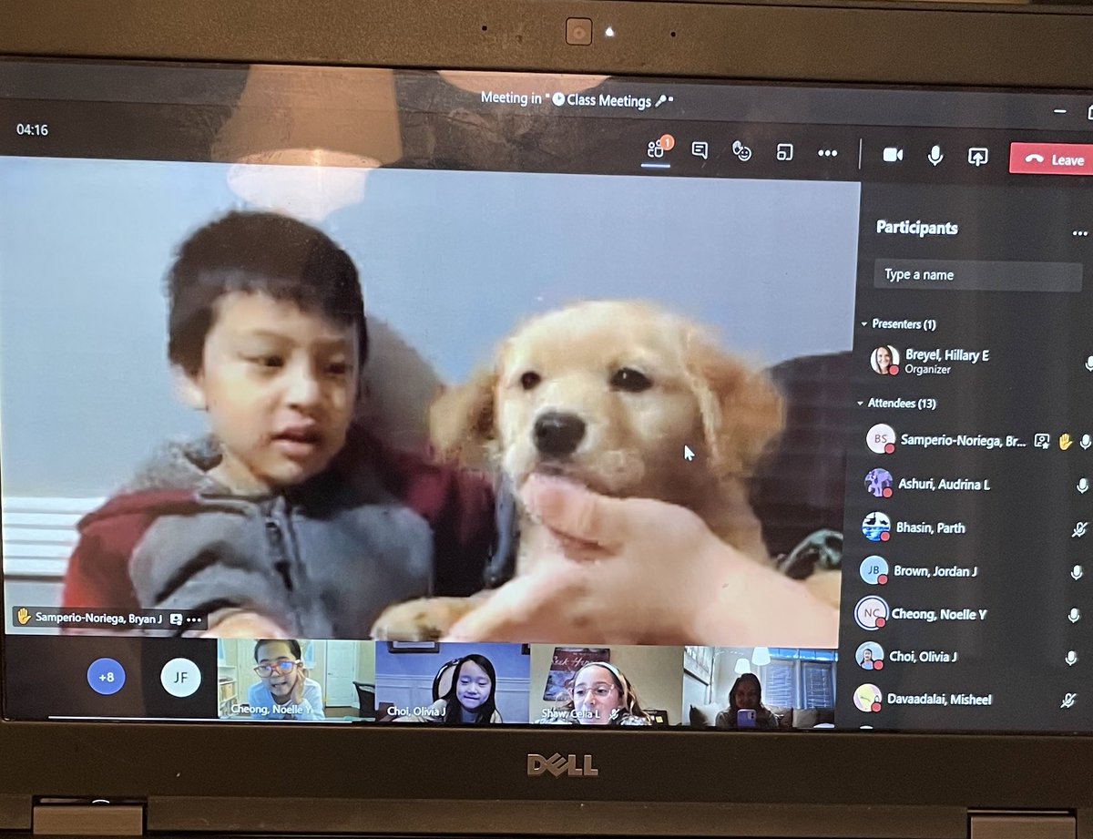 I love when my students get to share their pets with the class! Meet Marsha, my first graders new puppy! <a href="/DolvinES/">Dolvin ES</a> #DolvinGoesDigital