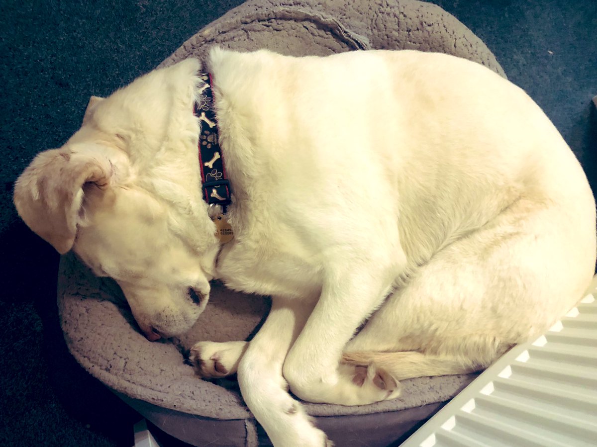 Mayne and Hope Stokes tweet media