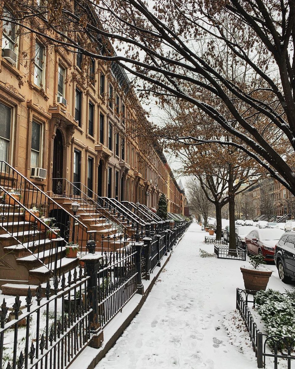 You can support local biz from home by purchasing gift cards! Anyone who purchases a GF in February is entered to win a complimentary brunch with a friend. Order online: rustiktavern.com/gift-card

Thanks for helping us weather this storm. ❄️

#BKLYN #BlackOwnedBiz