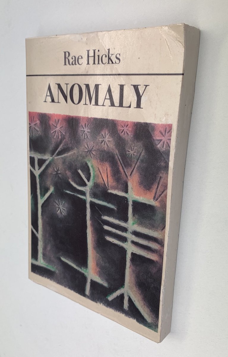 A 'fake book' by Rae Hicks, commissioned by the gallery to accompany his solo show, available as a limited edition  #artistbook #lockdownreading #ConspiracyTheories