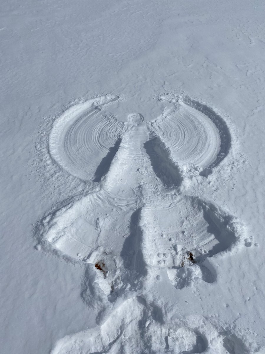 shoalcc's tweet photo. All of us at SCC hope y’all are staying safe, keeping warm, and finding ways to have fun while we weather this Arctic blast. https://t.co/70MR9Ig8cE