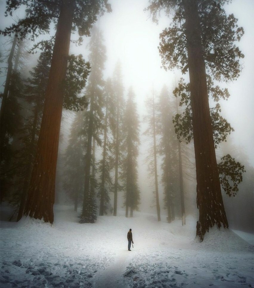 NP_Geek's tweet image. That other place you would rather be today, Sequoia National Park. 
••••
Thanks to Liam @liam.harison for the most excellent adventure. 
•
6ft vs 250ft and probably one of the best winter-ish experiences ive ever had.
——-

#nationalparkgeek #FYPy… instagr.am/p/CLXDuZ6n1yK/