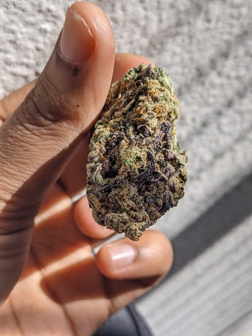 Watch rai's leaked NSFW photo on TwXstars