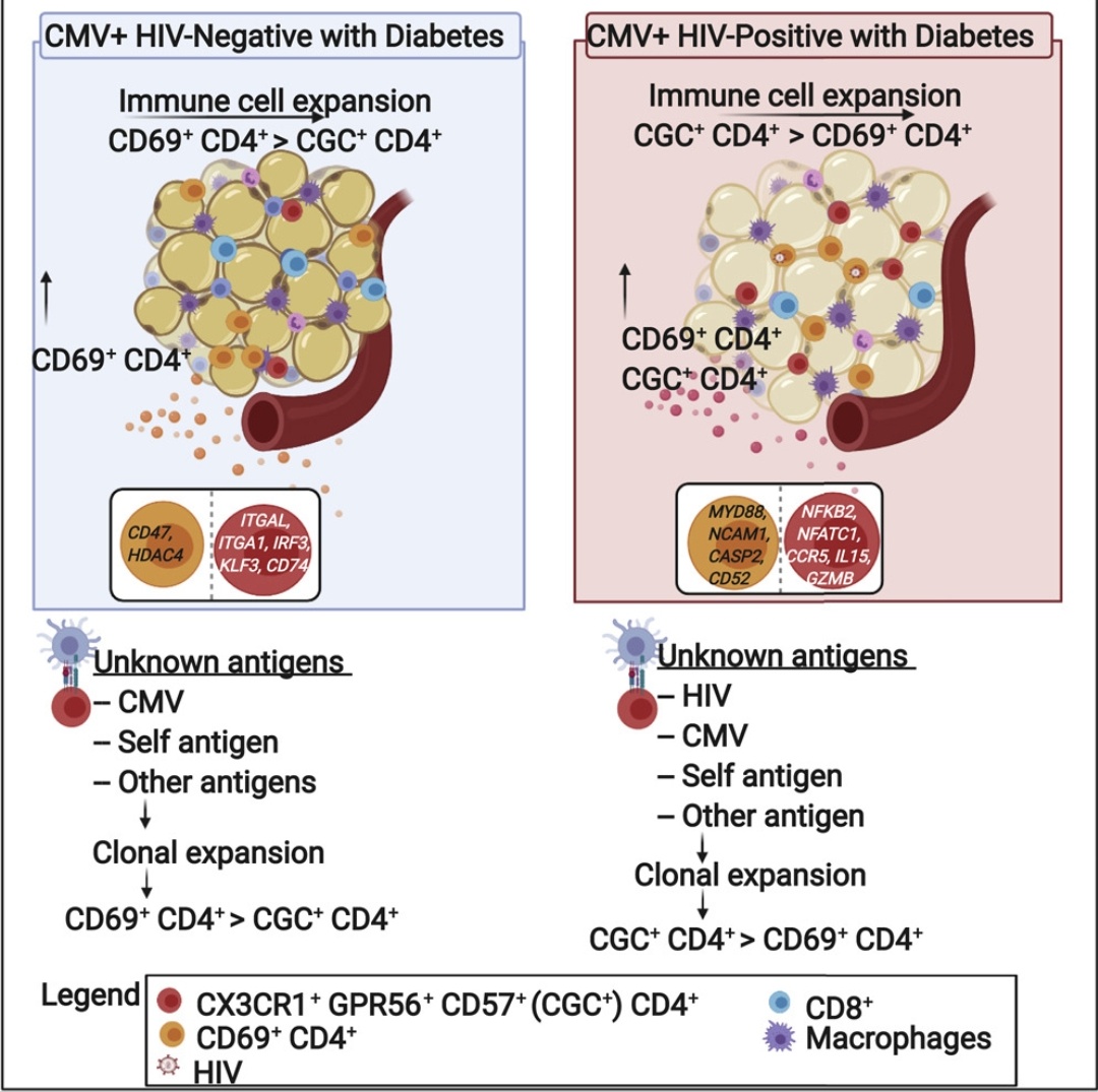 Celestine Wanjalla tweet media
