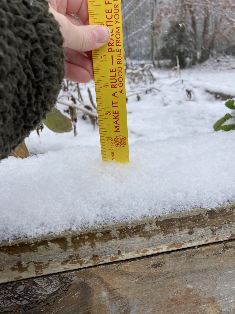 tammy_embry's tweet photo. Lovely snow day in SW Limestone County! ⁦@BradTravisWAFF⁩ ⁦@spann⁩ ⁦@NWSHuntsville⁩ https://t.co/eXJjqweTQU