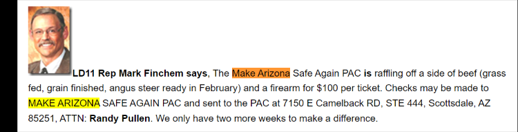 The only mentions I've ever seen for the "Make Arizona Safe Again PAC" are posts made by Finchem on Republican Briefs, a well known AZ GOP website for posting events and news