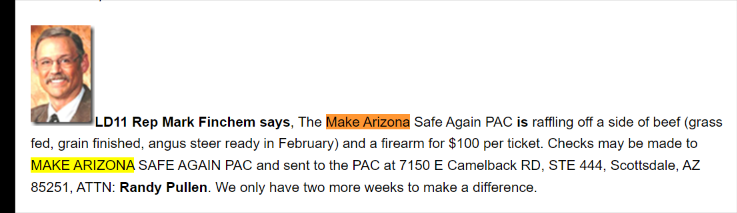 The only mentions I've ever seen for the "Make Arizona Safe Again PAC" are posts made by Finchem on Republican Briefs, a well known AZ GOP website for posting events and news