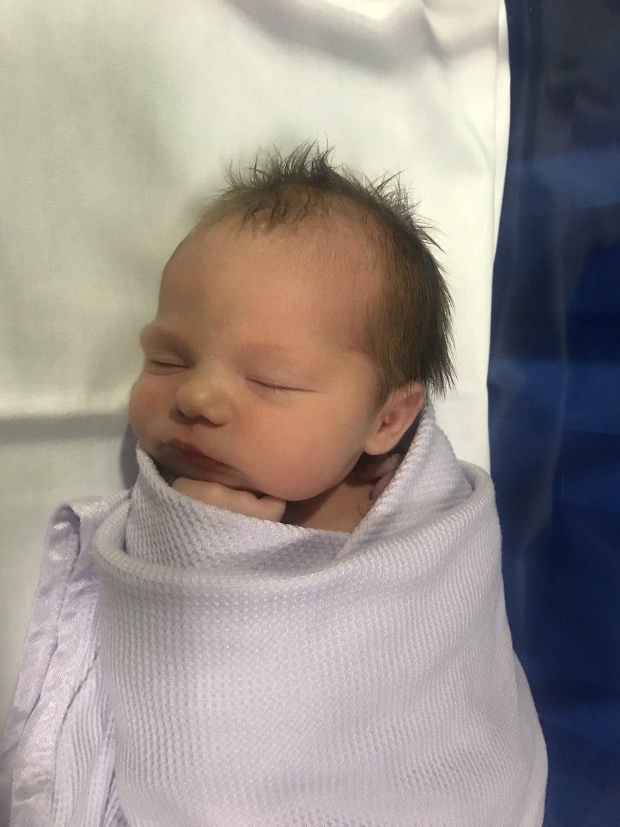 Mrs. Kelly tweet media